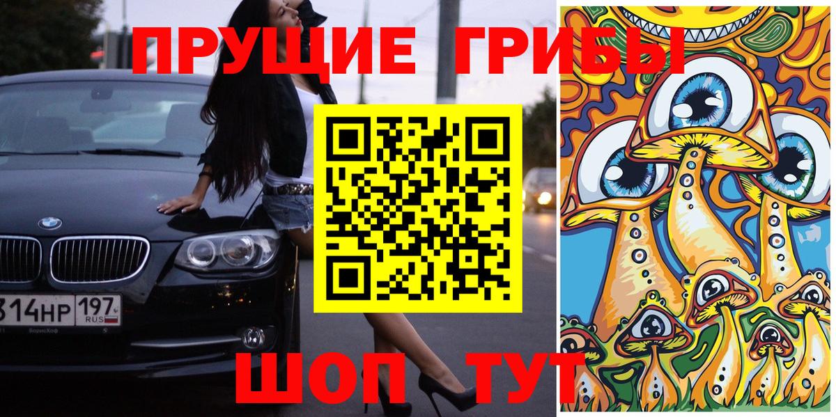Галлюциногенные грибы Psilocybine cubensis Долгопрудный
