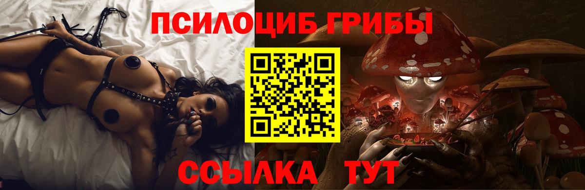 Долгопрудный  Галлюциногенные грибы мухоморы  Вход с VPN 